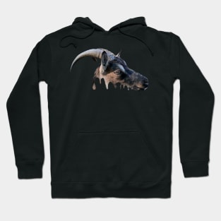 Goat head Hoodie